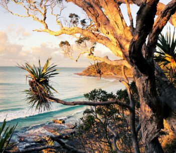 sealand architects noosa