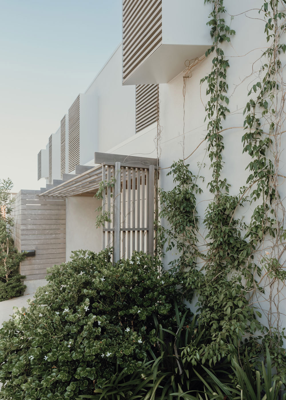 A refined material palette of local hardwood and white sand cement reflects the character of the local beach environment and coastal landscape.