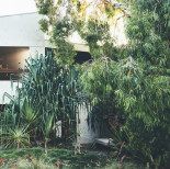noosa beach house garden entry